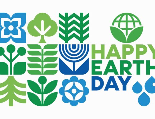 Our Role in Safeguarding our Environment